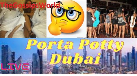 dubai porta potty dior bag video|porta potty controversy.